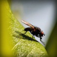 /album/sustentabilidad/photolia-a04-jpg/