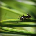 /album/sustentabilidad/photolia-a05-jpg/