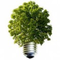 /album/sustentabilidad/tbl-nots-98-1-57-jpg/